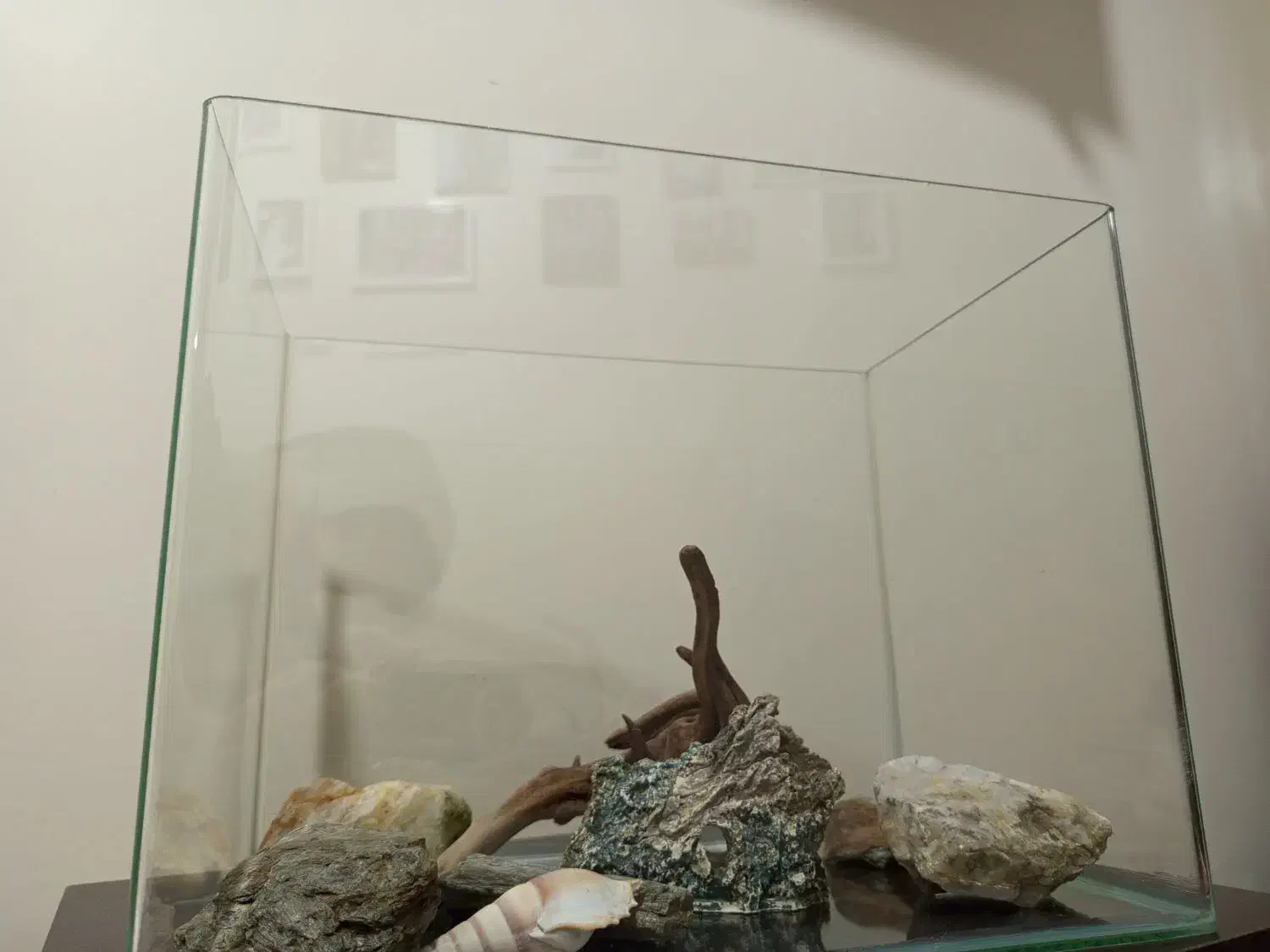 آکواریوم سالم|ماهیگیری|گلستان (تهران), |دیوار