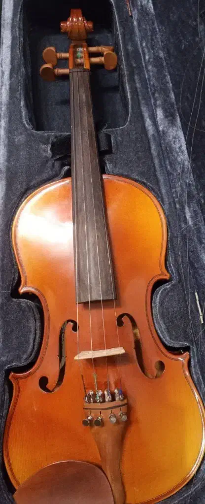 ساز ویولون|ویولن|نیشابور, دارایی|دیوار