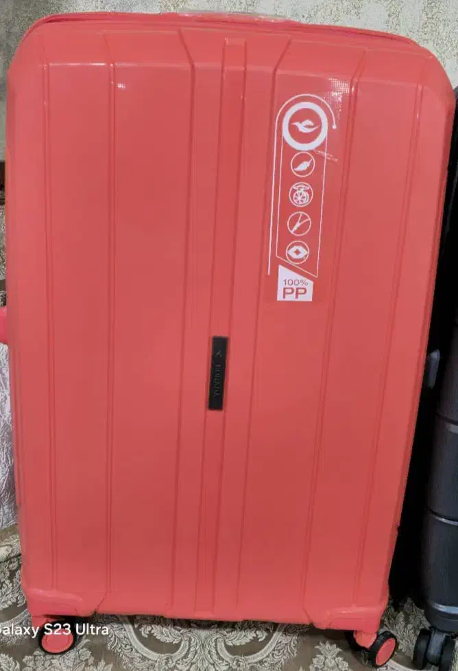 چمدان|کیف، کفش، کمربند|اردکان, |دیوار