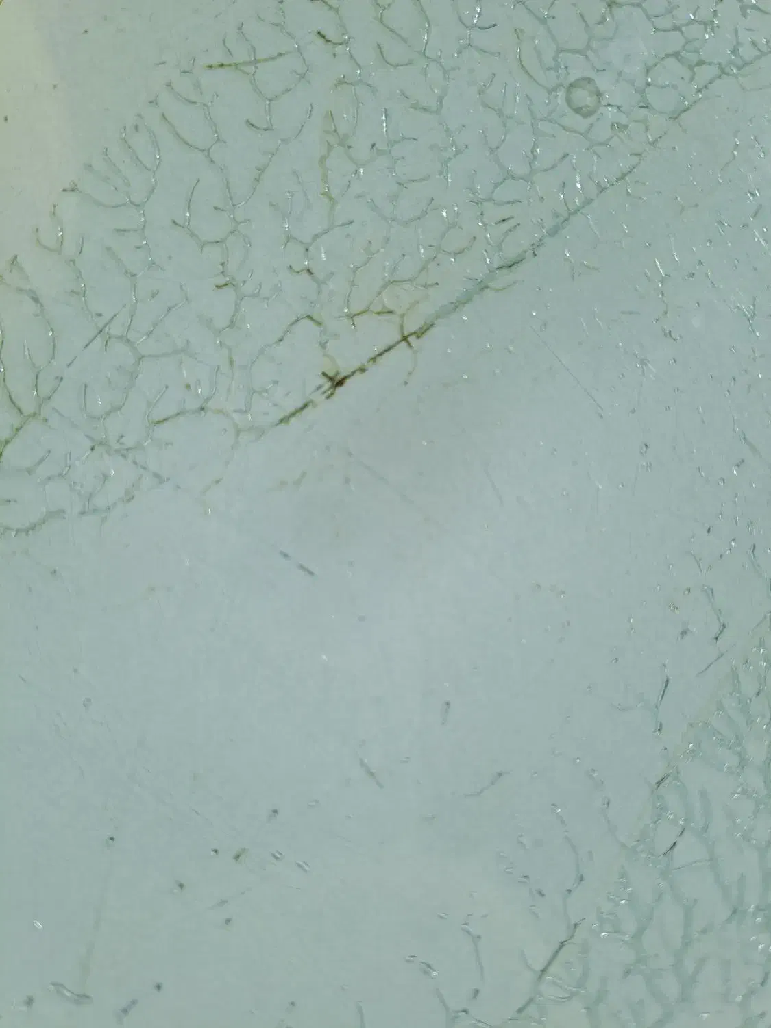 کارت ملی پیدا شده|اشیا|سبزوار, شهدا|دیوار