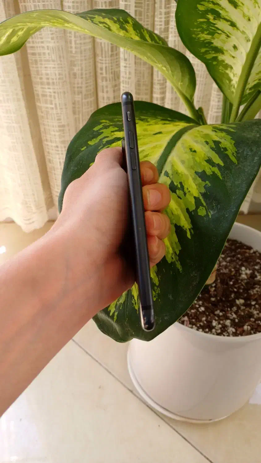 آیفون ۷ حافظه ۲۵۶ گیگ درحدنو|موبایل|مشهد, کوی المهدی|دیوار