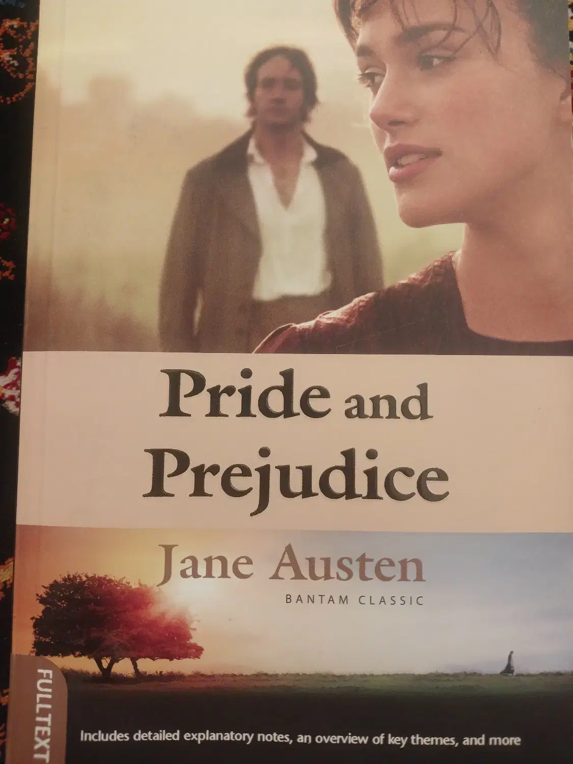 رمان pride and prejudice|کتاب و مجله ادبی|تهران, والفجر (افسریه)|دیوار