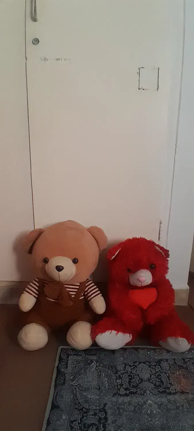 عروسک|اسباببازی|ری, فیروزآبادی|دیوار