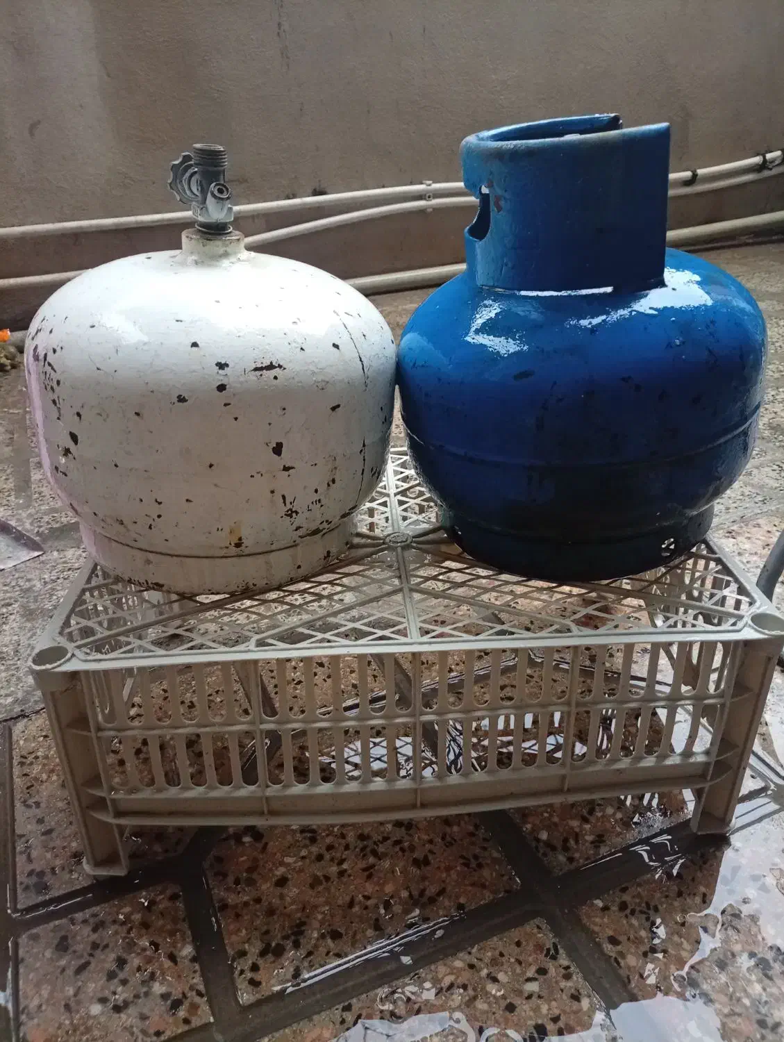 پکنیک|اجاق گاز و لوازم برقی پخت‌وپز|ایلام, |دیوار