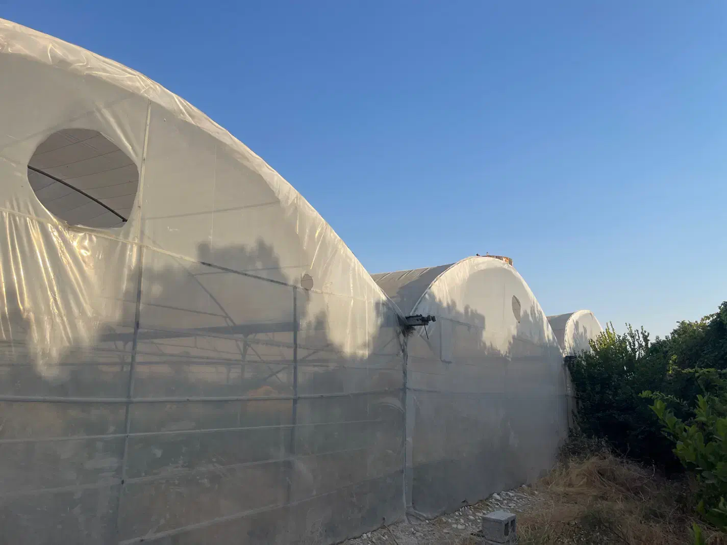 فروش گل خانه|فروش دفتر صنعتی، کشاورزی، تجاری|کازرون, |دیوار