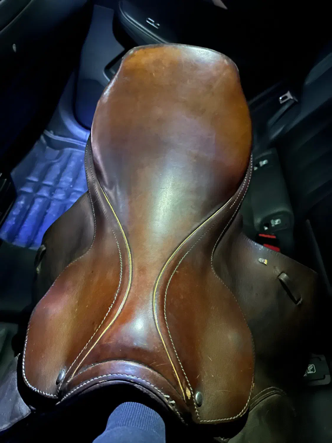 زین اِشتُبِن|اسب و تجهیزات اسب‌سواری|چهاردانگه (تهران), |دیوار