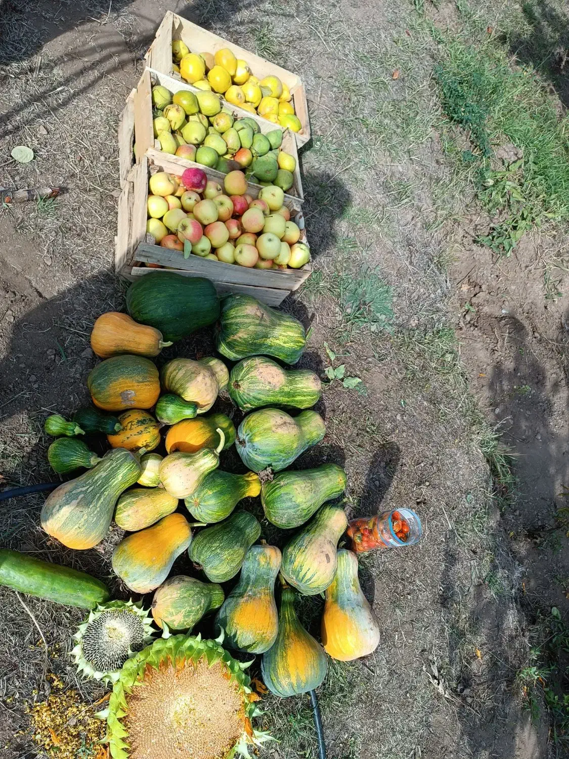 زمین در روستای گرده وباغ ۵۰۰۰متری در میرزانق|فروش زمین و ملک کلنگی|عنبران, |دیوار