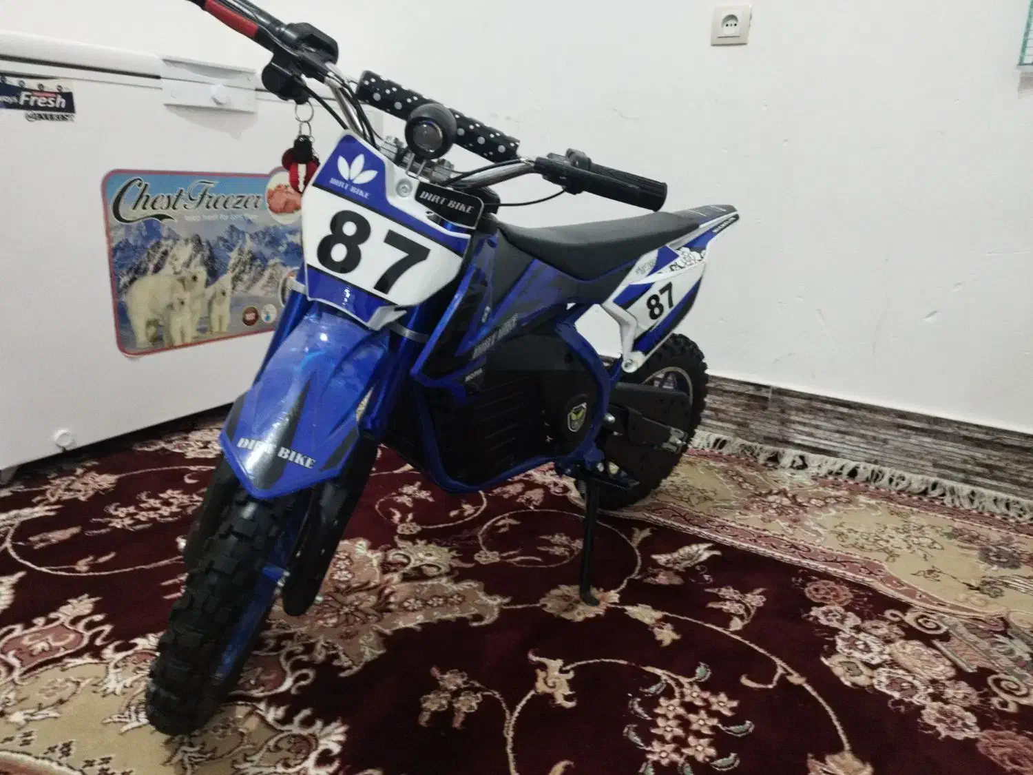 موتور برقی|موتورسیکلت|داراب, |دیوار