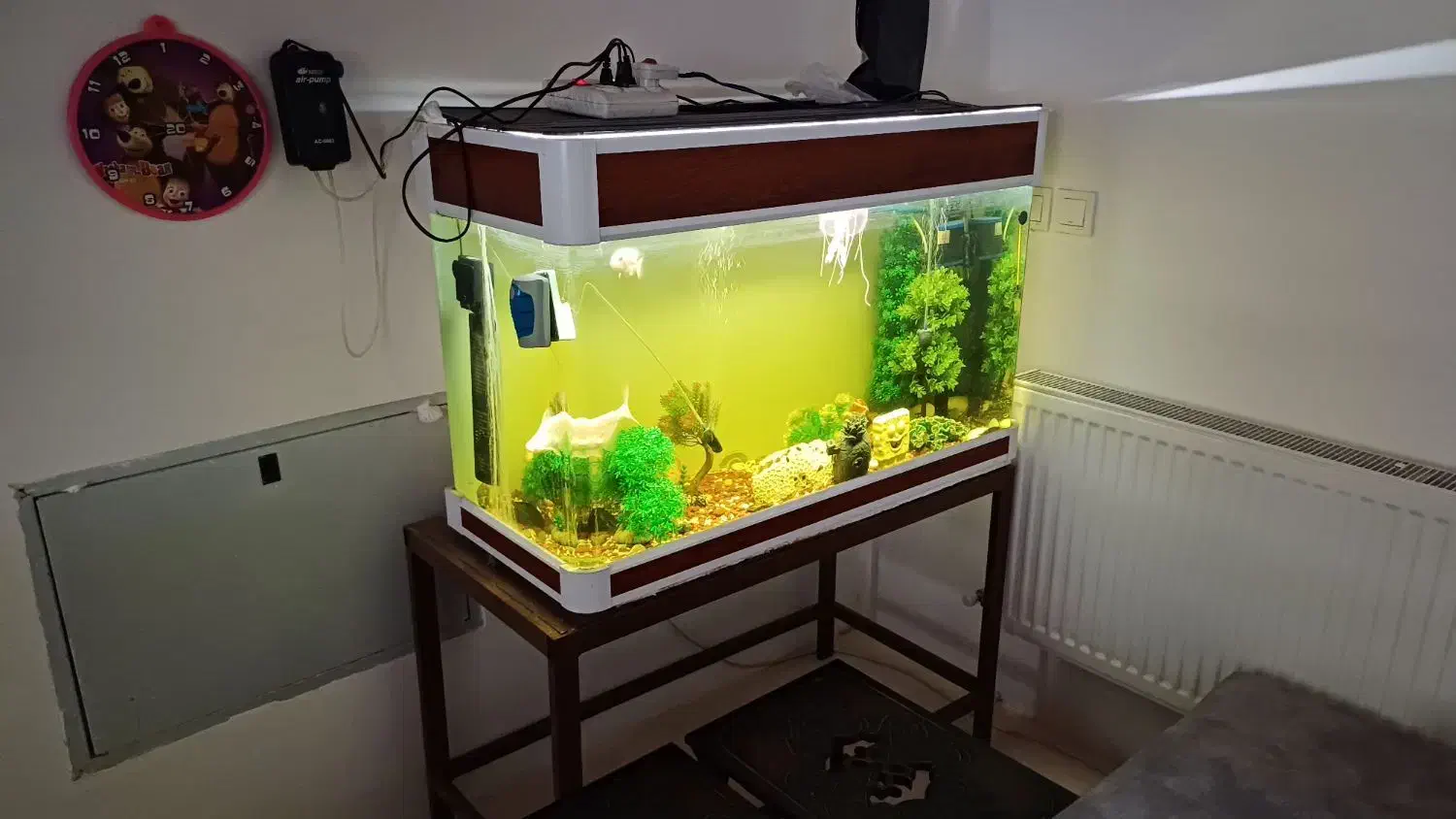 اکواریوم با ابعاد ۰.۸×۰.۶×۱|ماهی|کرمان, |دیوار