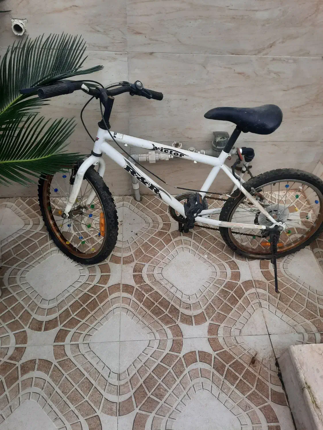 دوچرخه دنده ای نوجوانان|دوچرخه، اسکیت، اسکوتر|بندر انزلی, متروپل|دیوار