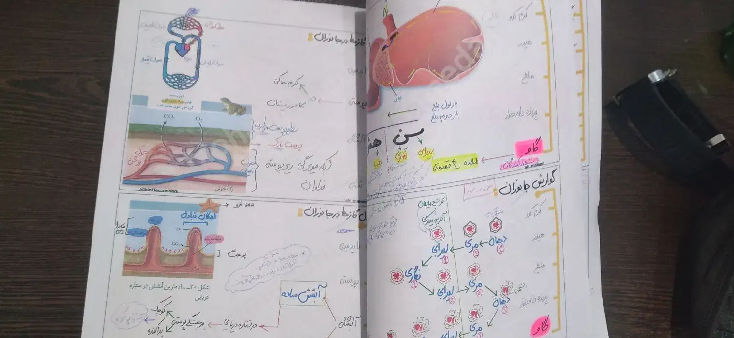 جزوه کل جانوری استاد همدانی|کتاب و مجله آموزشی|قم, پردیسان|دیوار
