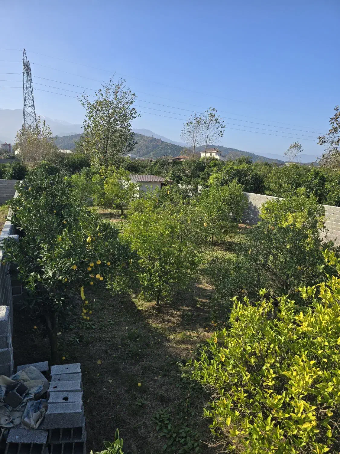 فروش زمین 500متری باکاربری مسکونی|فروش زمین و ملک کلنگی|چابکسر, |دیوار