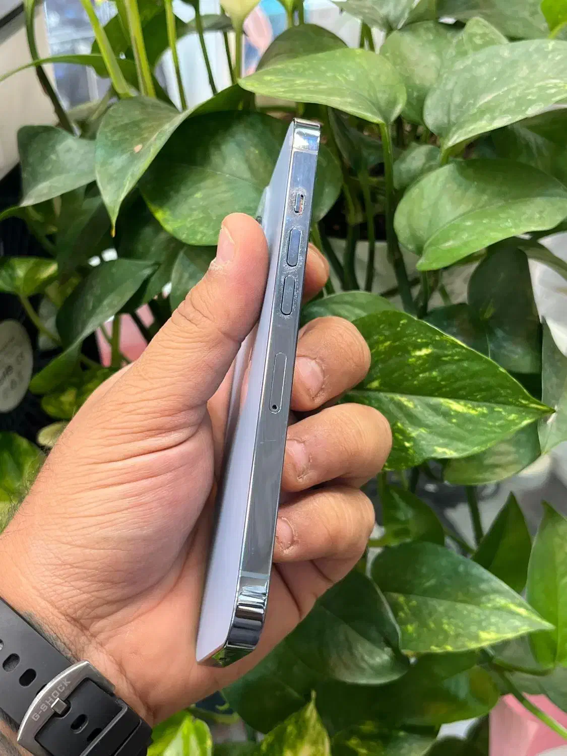 iphone13proLLA|موبایل|شیراز, گود عربان|دیوار