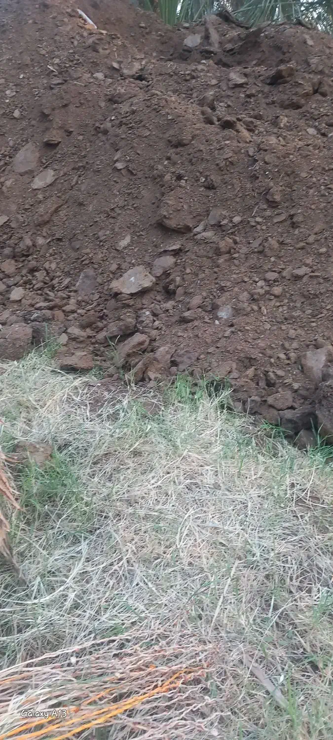 کود حیوانی|خدمات باغبانی و درختکاری|بم, |دیوار