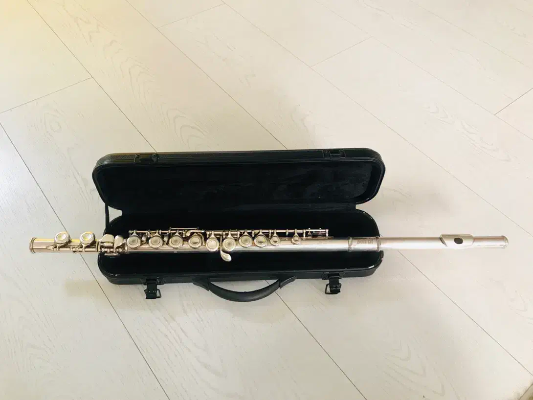 فلوت کلیدار|سازهای بادی|شیراز, فرهنگ شهر|دیوار