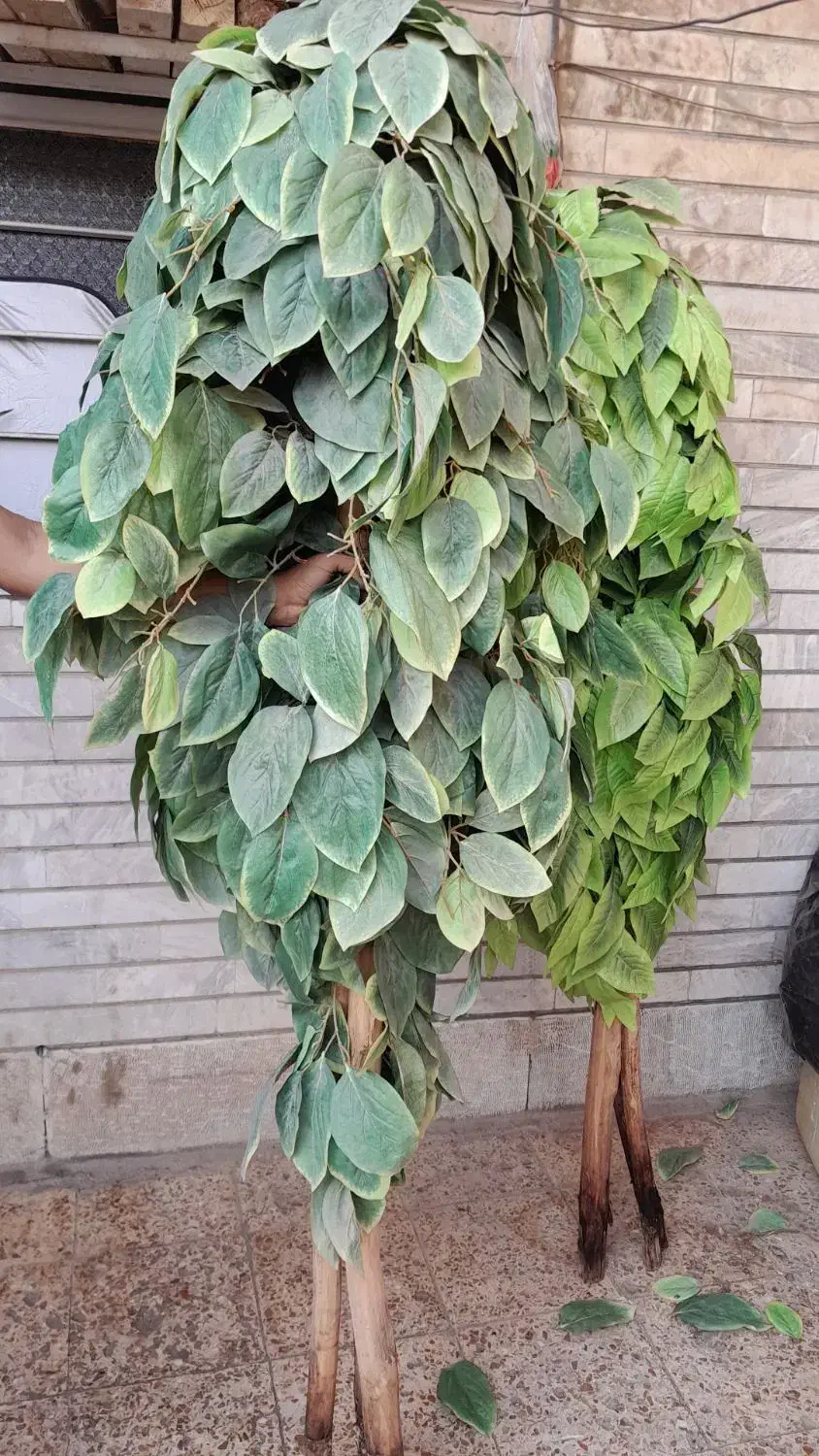 درخت چه|گل مصنوعی|اهواز, حصیرآباد|دیوار