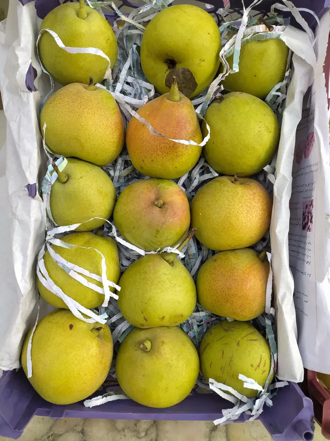 گلابی آب دندون|خوردنی و آشامیدنی|آسارا, |دیوار