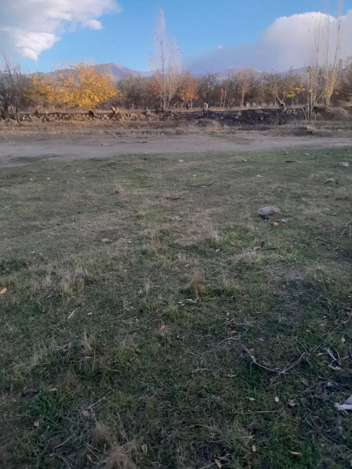 زمین در قره درویش|فروش زمین و ملک کلنگی|مشگین شهر, |دیوار