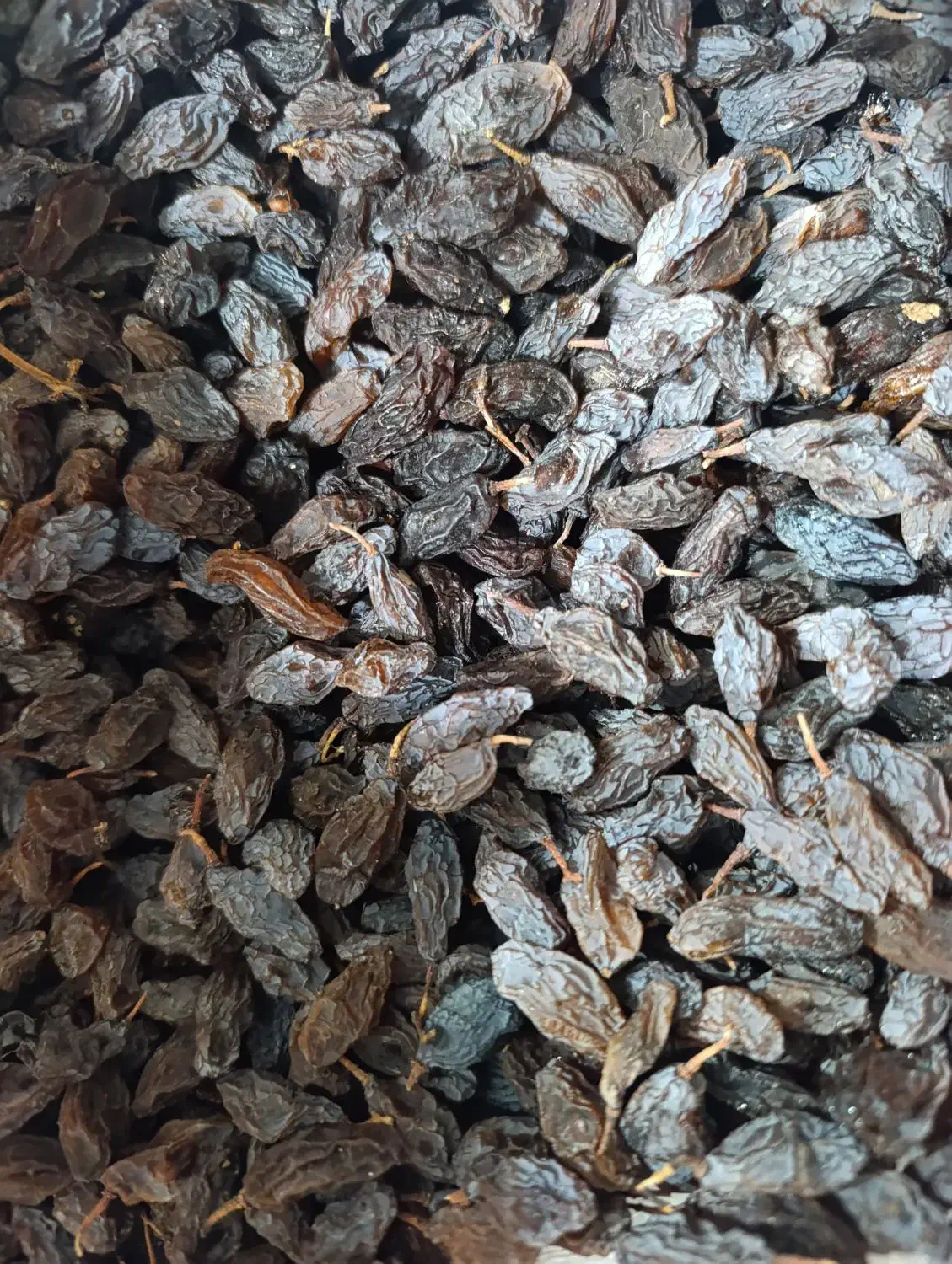 مویز|خوردنی و آشامیدنی|شیراز, دشت چنار|دیوار