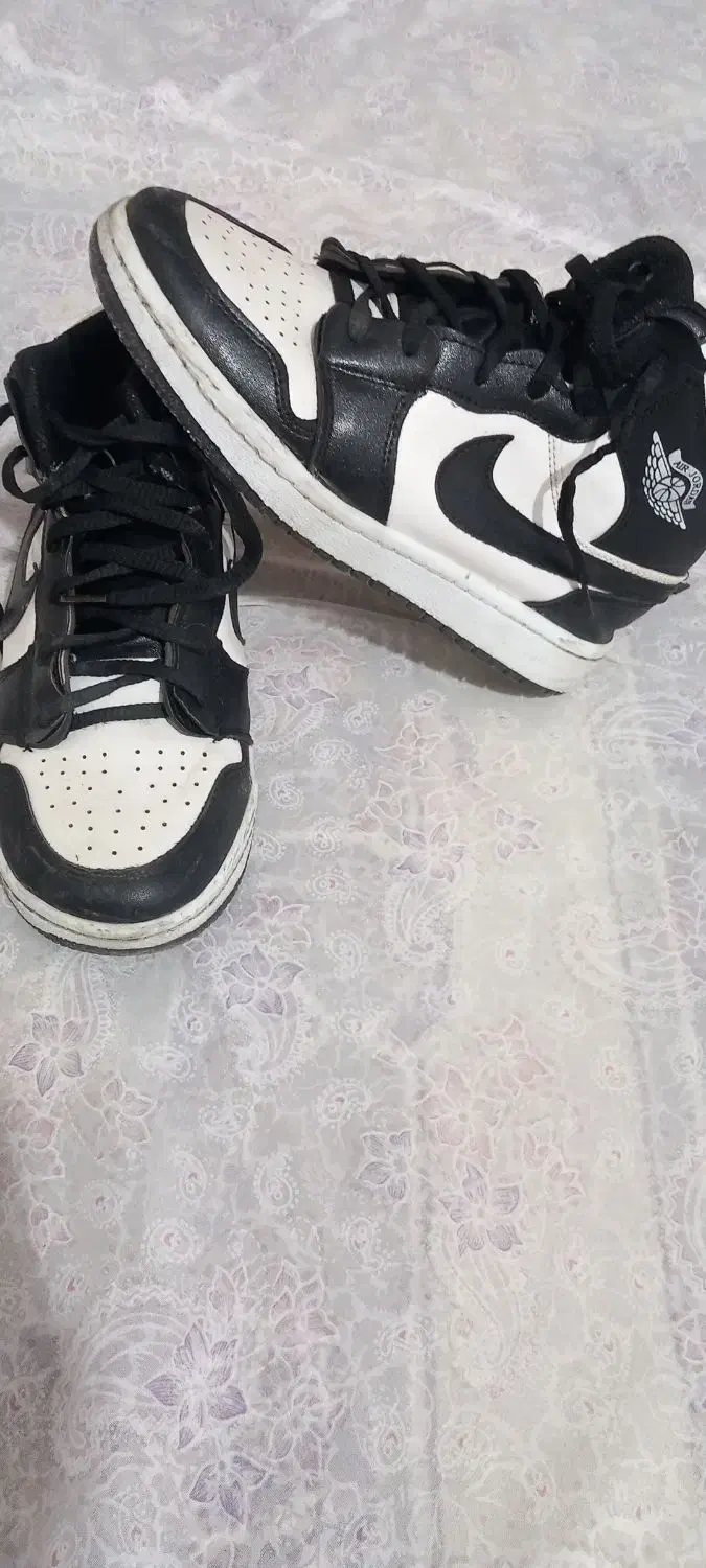 کفش|کیف، کفش، کمربند|علی‌آباد کتول, |دیوار