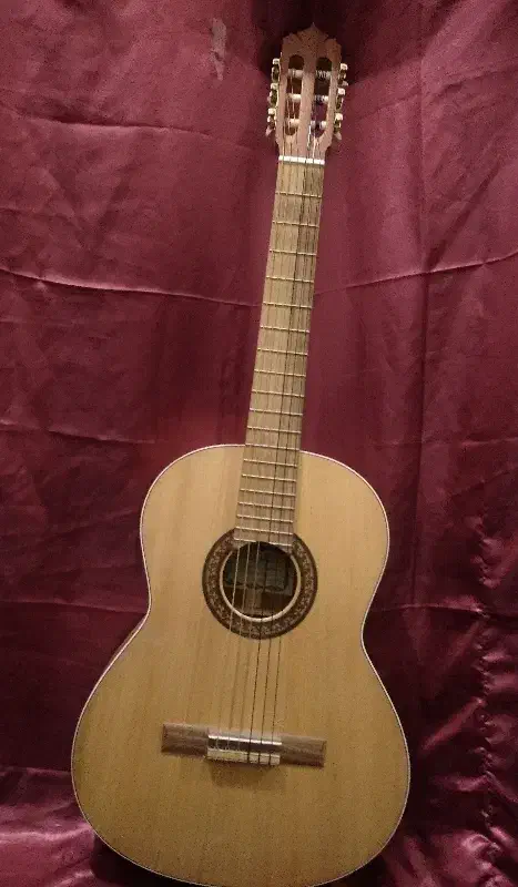 گیتار|گیتار، بیس، امپلیفایر|شهرکرد, |دیوار