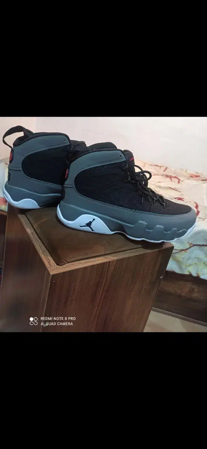 کفش|کیف، کفش، کمربند|بندرعباس, |دیوار