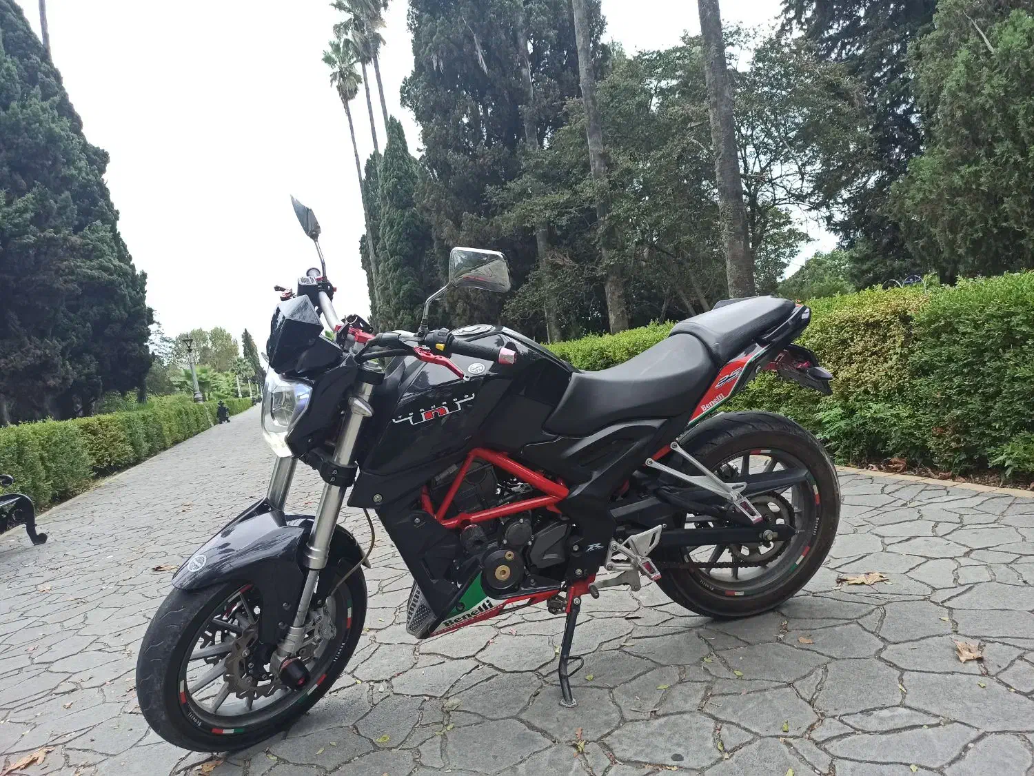 موتور بنلی 250 خشک|موتورسیکلت|رامسر, |دیوار