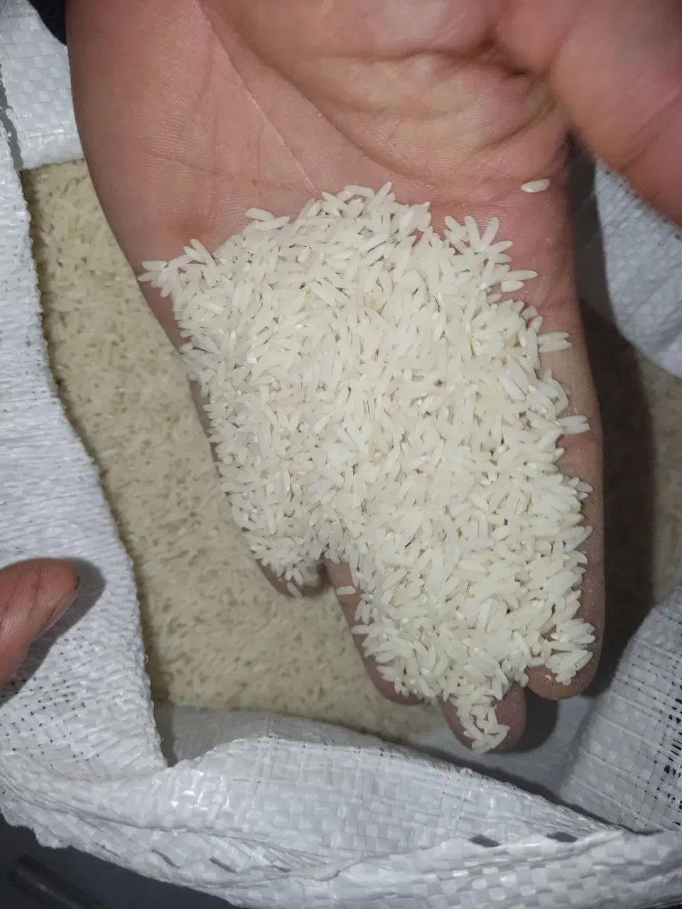 برنج هاشمی|خوردنی و آشامیدنی|رشت, لاکانی|دیوار