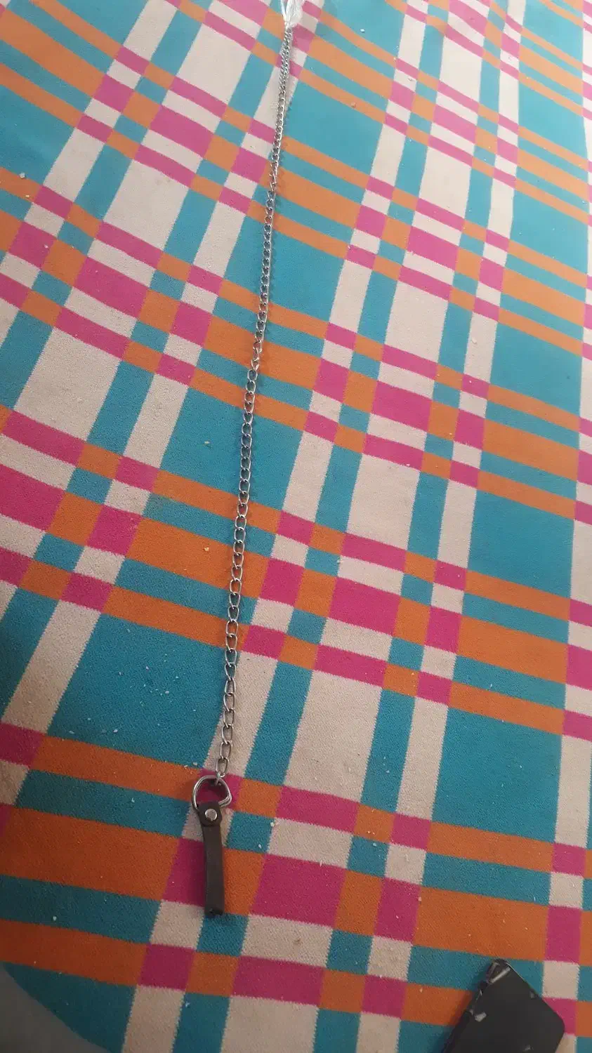 زنجیر یزدی دسه چرم معاوضه با پرنده یا ساعت|زیورآلات و اکسسوری|مرودشت, محمد آباد|دیوار