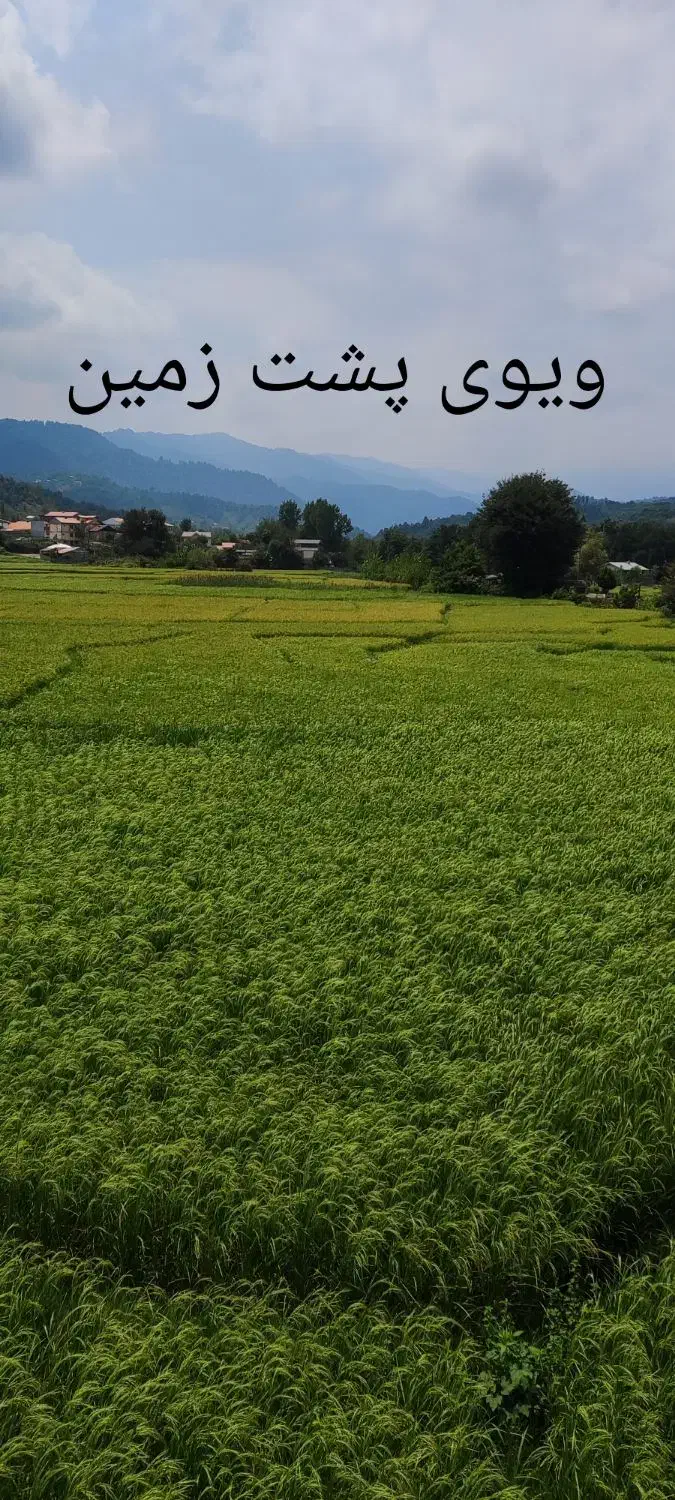 زمین به متراژ ۲۷۳ متر - دو طرف ویلاسازی شده|فروش زمین و ملک کلنگی|اطاقور, |دیوار