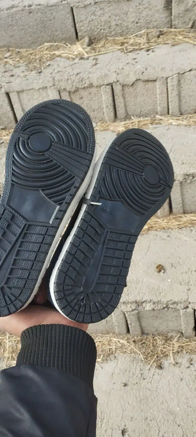 کفش جوردن|کیف، کفش، کمربند|رومشکان, |دیوار