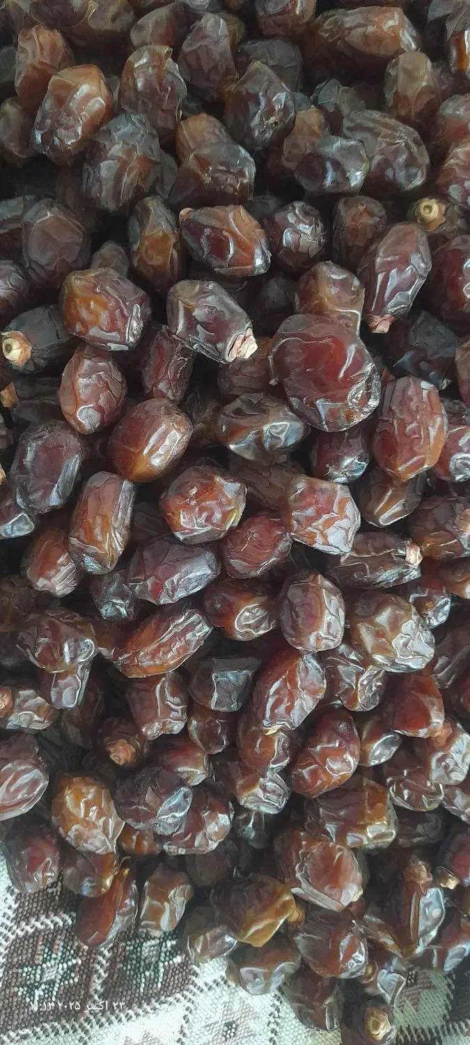 خرمای خاصویی جنوب...|خوردنی و آشامیدنی|قم, شهرک مهدیه|دیوار