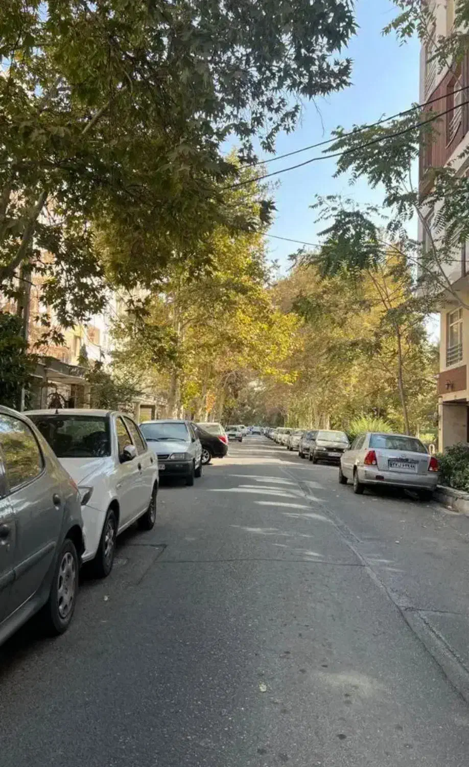 اپارتمان ۶۲متری ۲خواب الاله شرقی نبش سرو