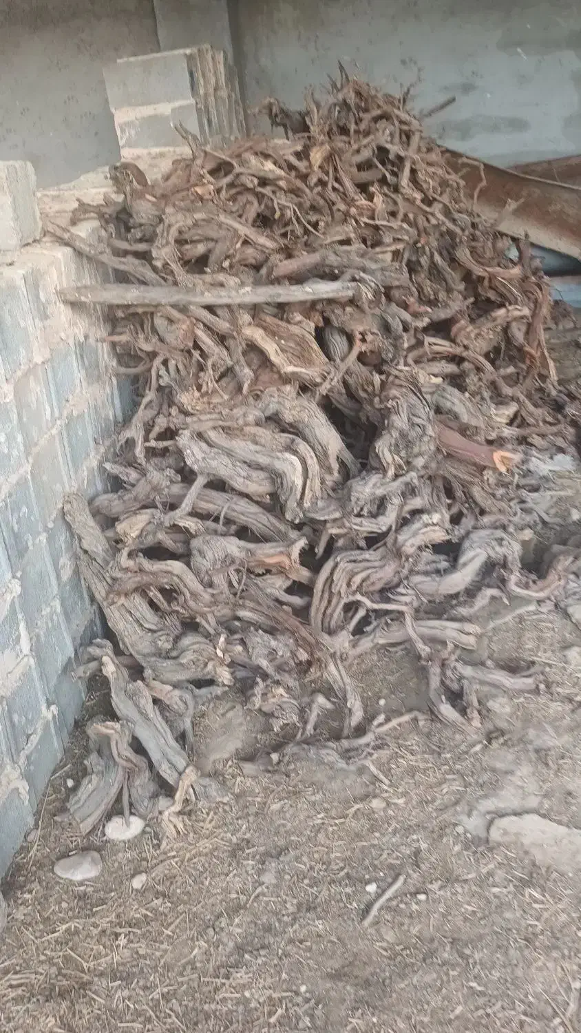 چوب انگور|گل و گیاه طبیعی|آشخانه, |دیوار