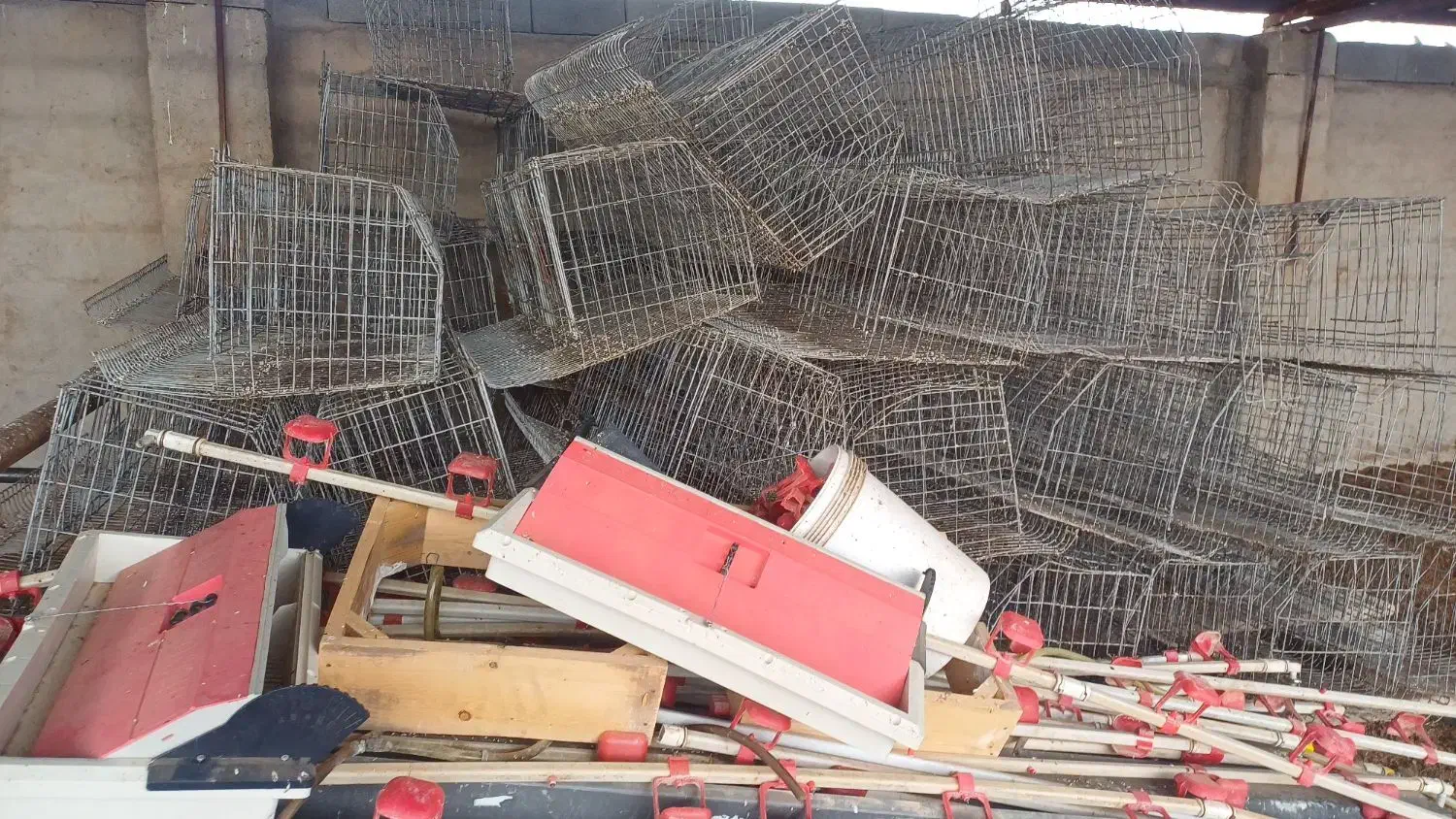 قفس منبری|لوازم جانبی حیوانات|مبارکه, |دیوار