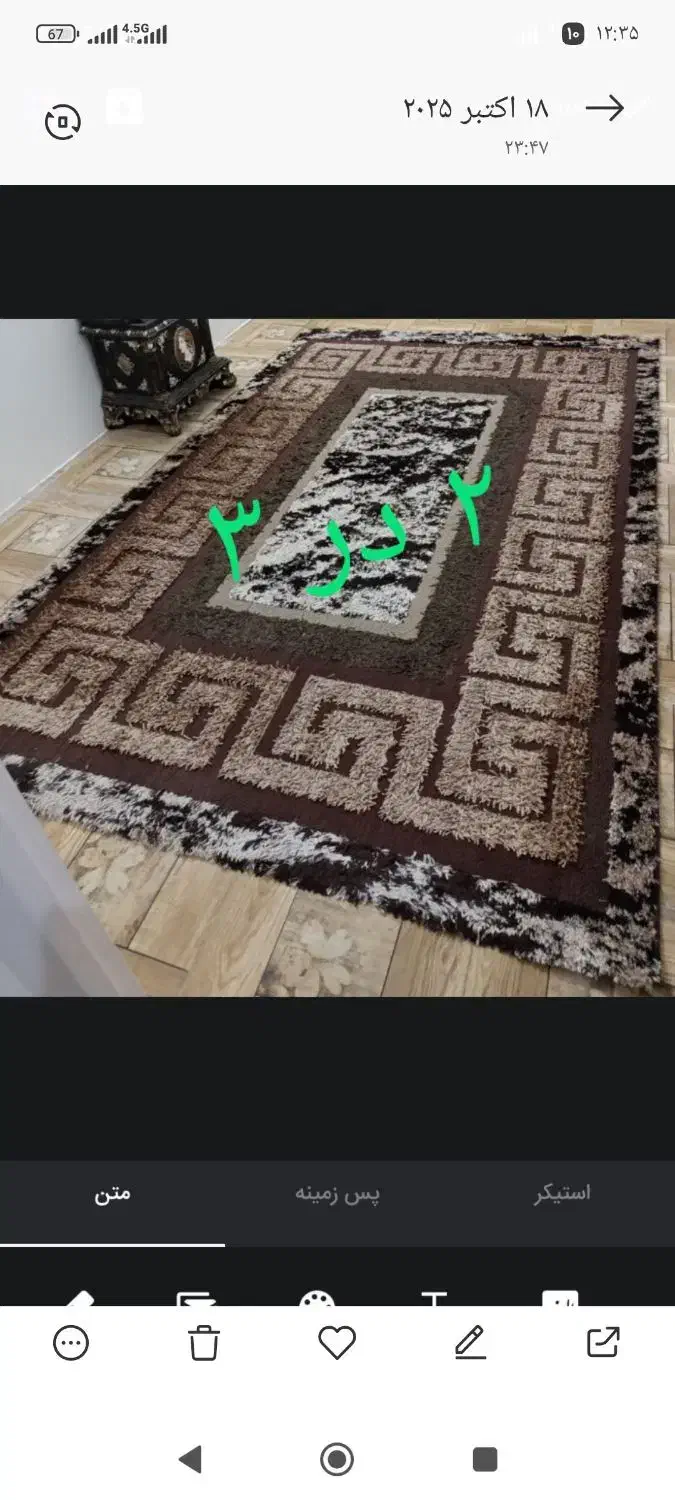 ب علت جابجایی مفت فروخته میشوند|فرش|تربت‌حیدریه, قائم|دیوار