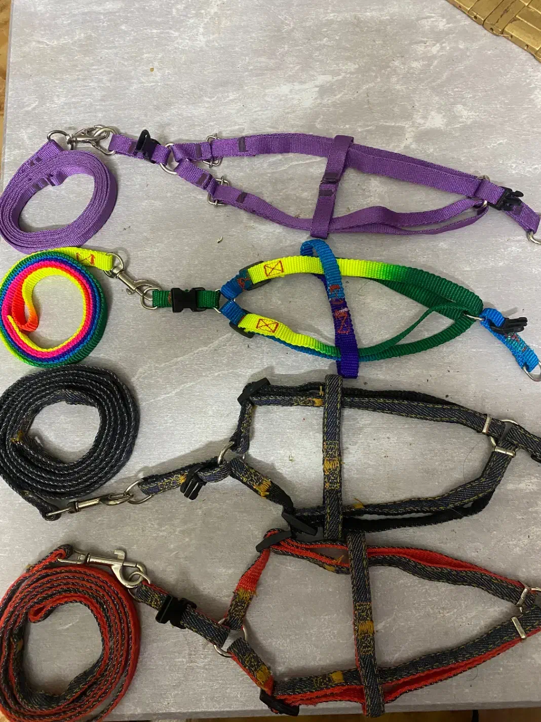 قلاده نونو|لوازم جانبی حیوانات|اصفهان, میرعماد|دیوار