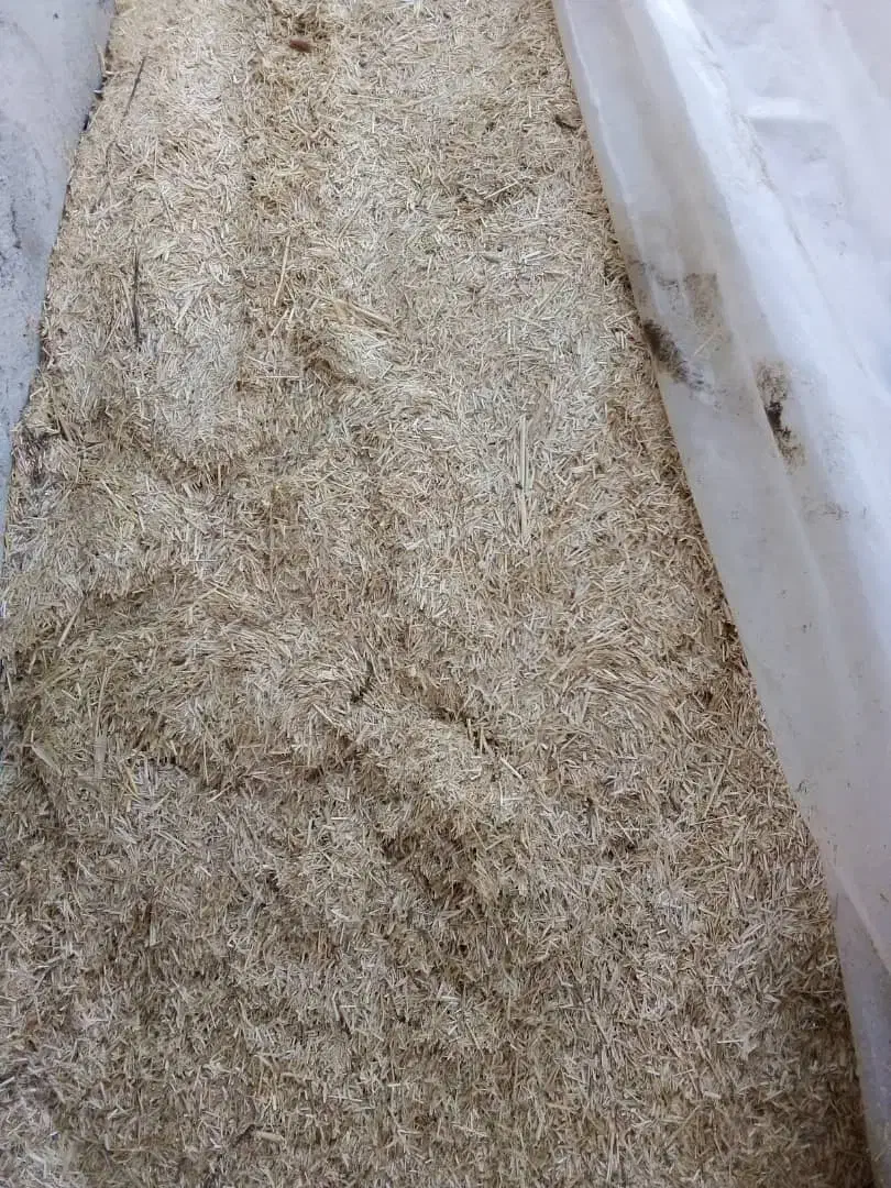 کاه جو|حیوانات مزرعه|گرمی, |دیوار