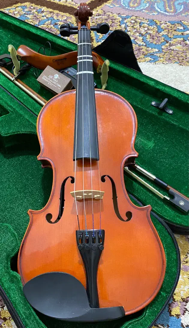 ویولن 4/4 SA|ویولن|شیراز, سیلو|دیوار