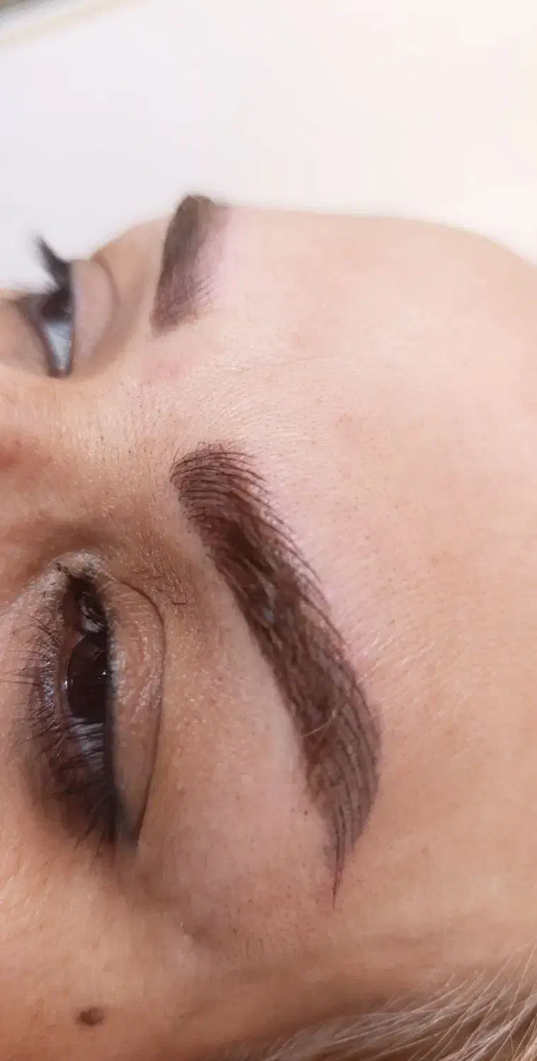 مدل میکروبلیدینگ و شیدینگ لب|خدمات آرایشگری و زیبایی|سهند, |دیوار