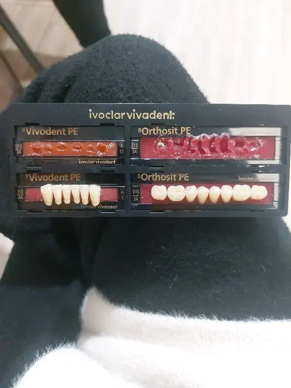 دندون فک پایین ایتالیایی|پزشکی|نسیمشهر, |دیوار