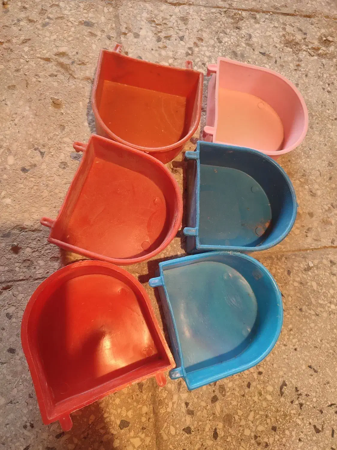 لوازم جانبی پرنده|لوازم جانبی حیوانات|سبزوار, مدرس|دیوار