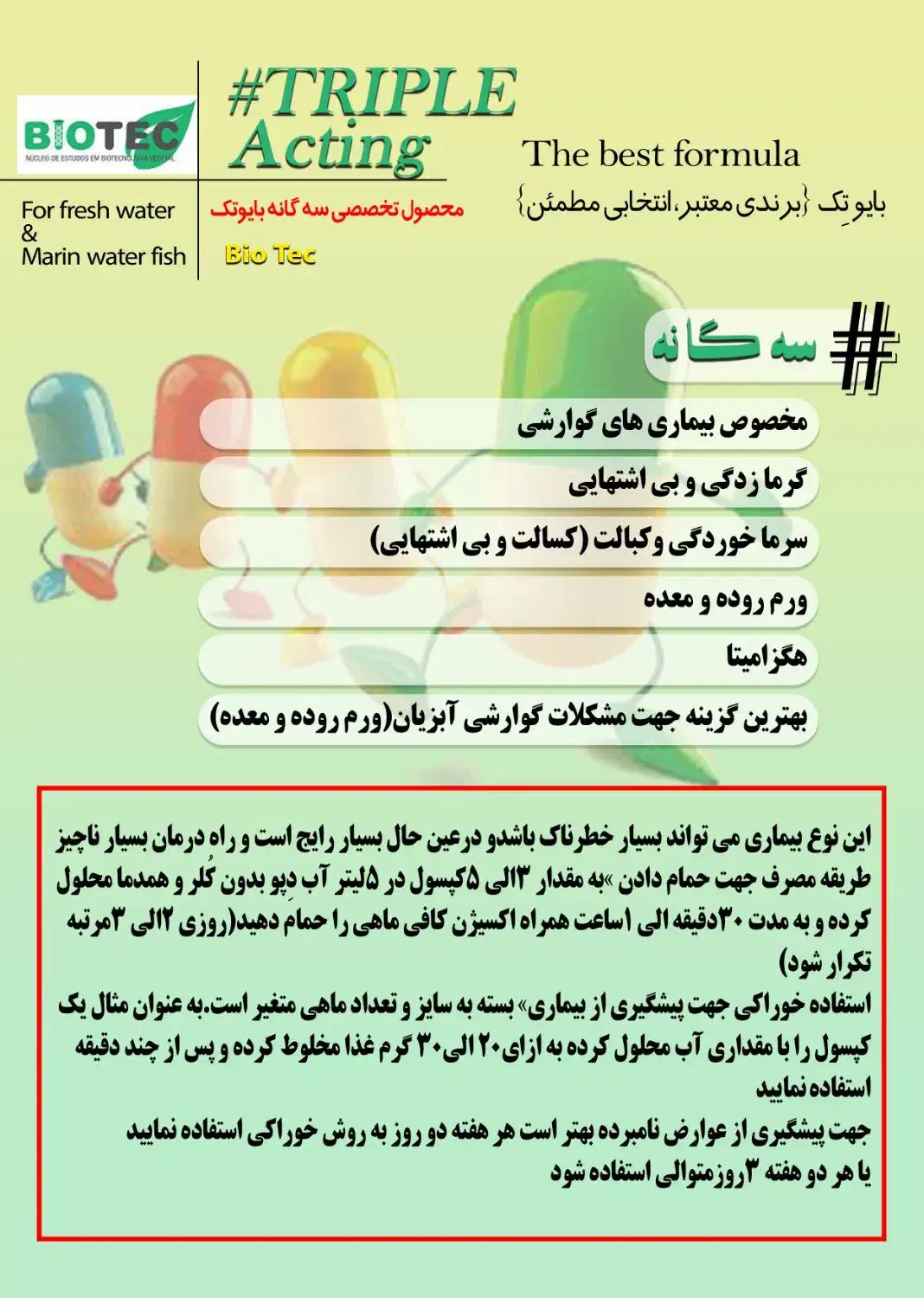 دارو سـ،ـه گـ،ـانـ،ـه|ماهی|مشهد, بهشت|دیوار