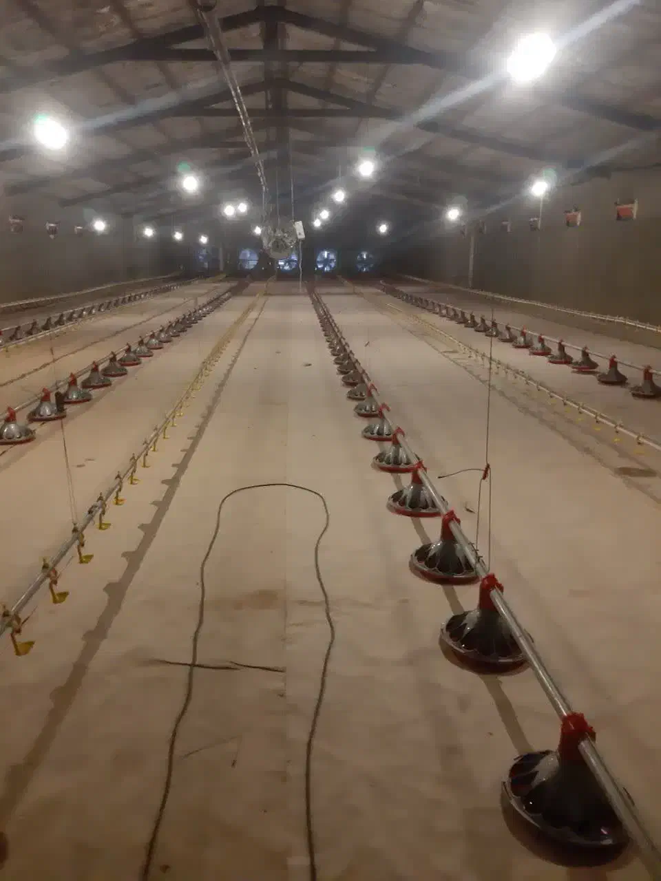 فروش مرغداری گوشتی تمام اتوماتیک در شهرستان هریس|فروش دفتر صنعتی، کشاورزی، تجاری|هریس, |دیوار