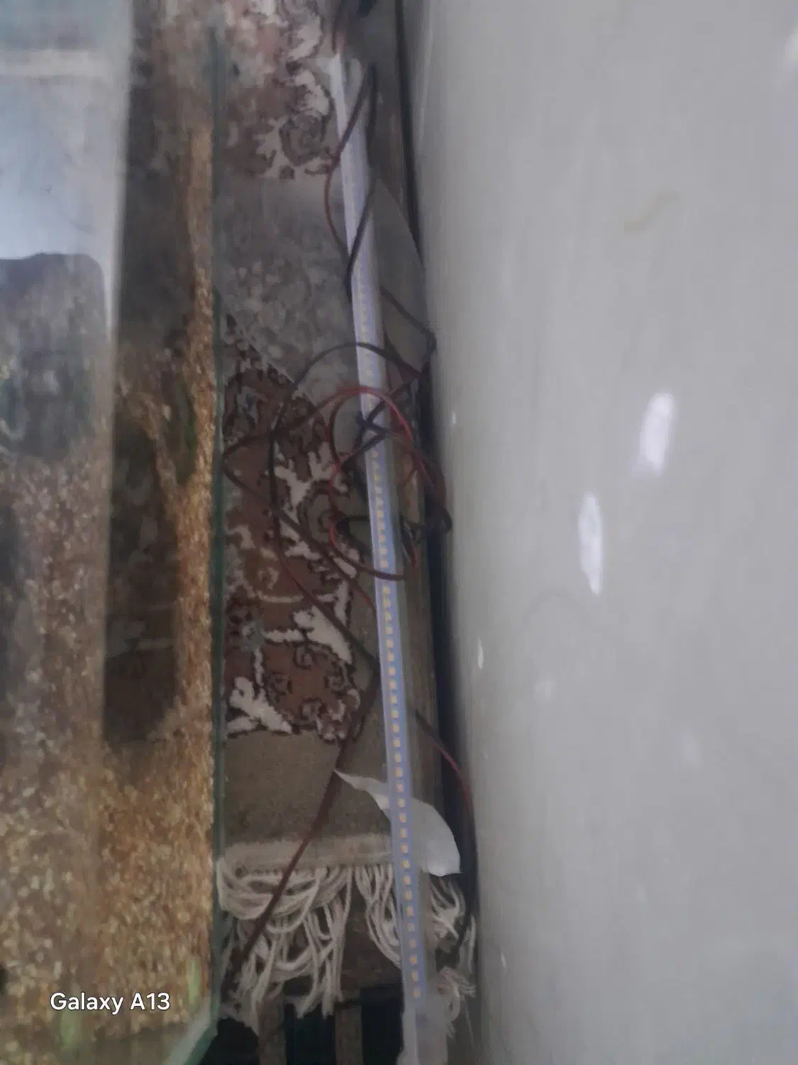 آکواریوم ۵۰سانتی|ماهی|خاش, |دیوار