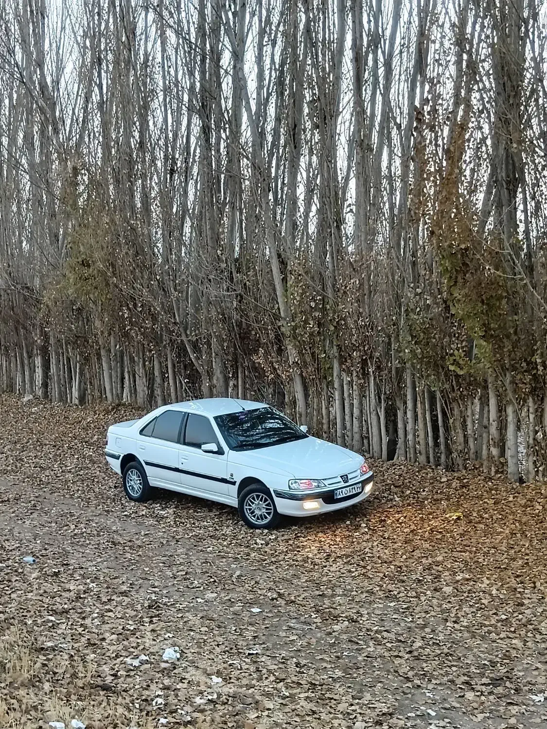 پژو پارس ۹۱ دوگانه کارخانه|خودرو سواری و وانت|باروق, |دیوار