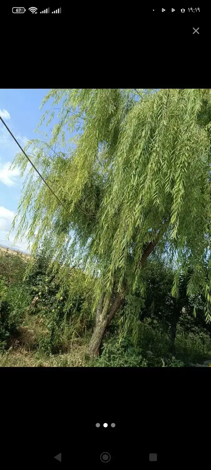 باغ و ویلا در روستای آلوچ|فروش خانه و ویلا|مشگین شهر, |دیوار