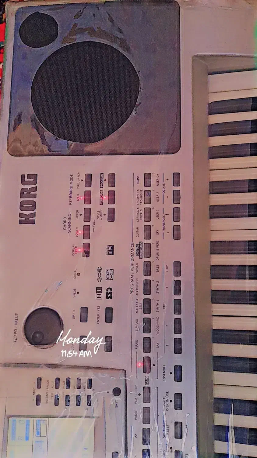 ارگ pa80 تمیز|پیانو، کیبورد، آکاردئون|کرمان, |دیوار