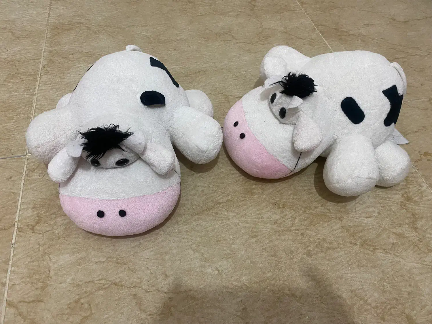 عروسک|اسباببازی بچه|کرمانشاه, |دیوار