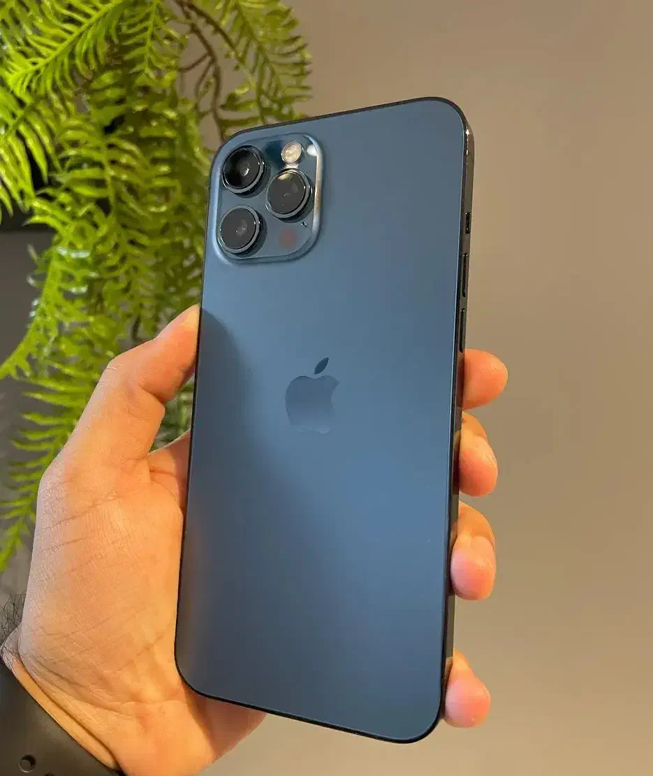 iPhone 12 pro max zzaدرحد|موبایل|قم, چهل درخت‎|دیوار